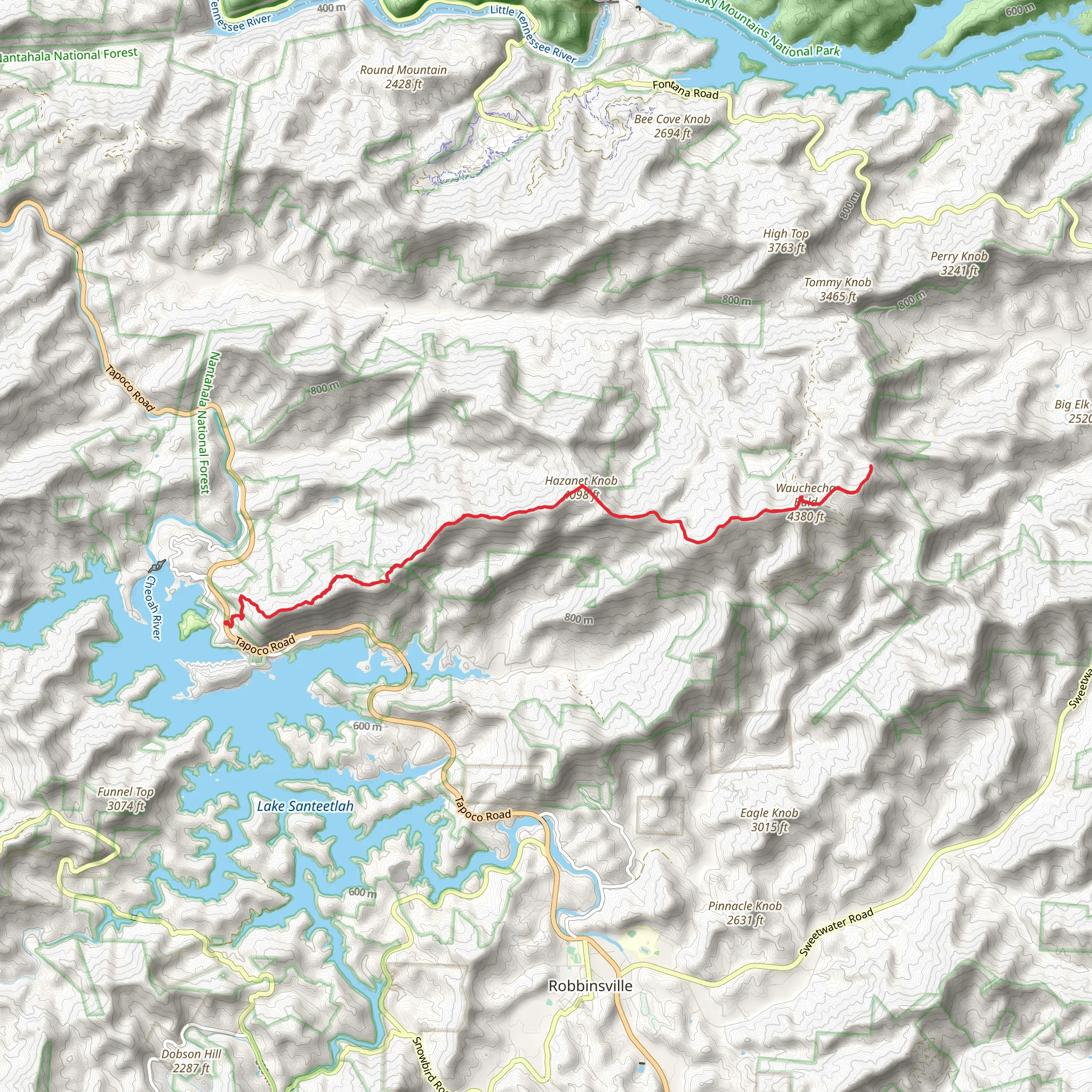 Wauchecha Bald Trail mobile static map