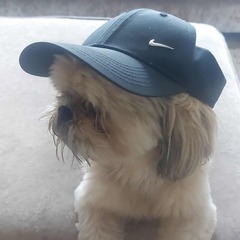 Stephen Kitchen avatar