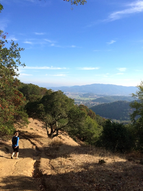 An image depicting the trail Pebble Beach Fire Road and Chicken Shack Dire Road Walk and its surrounding area.