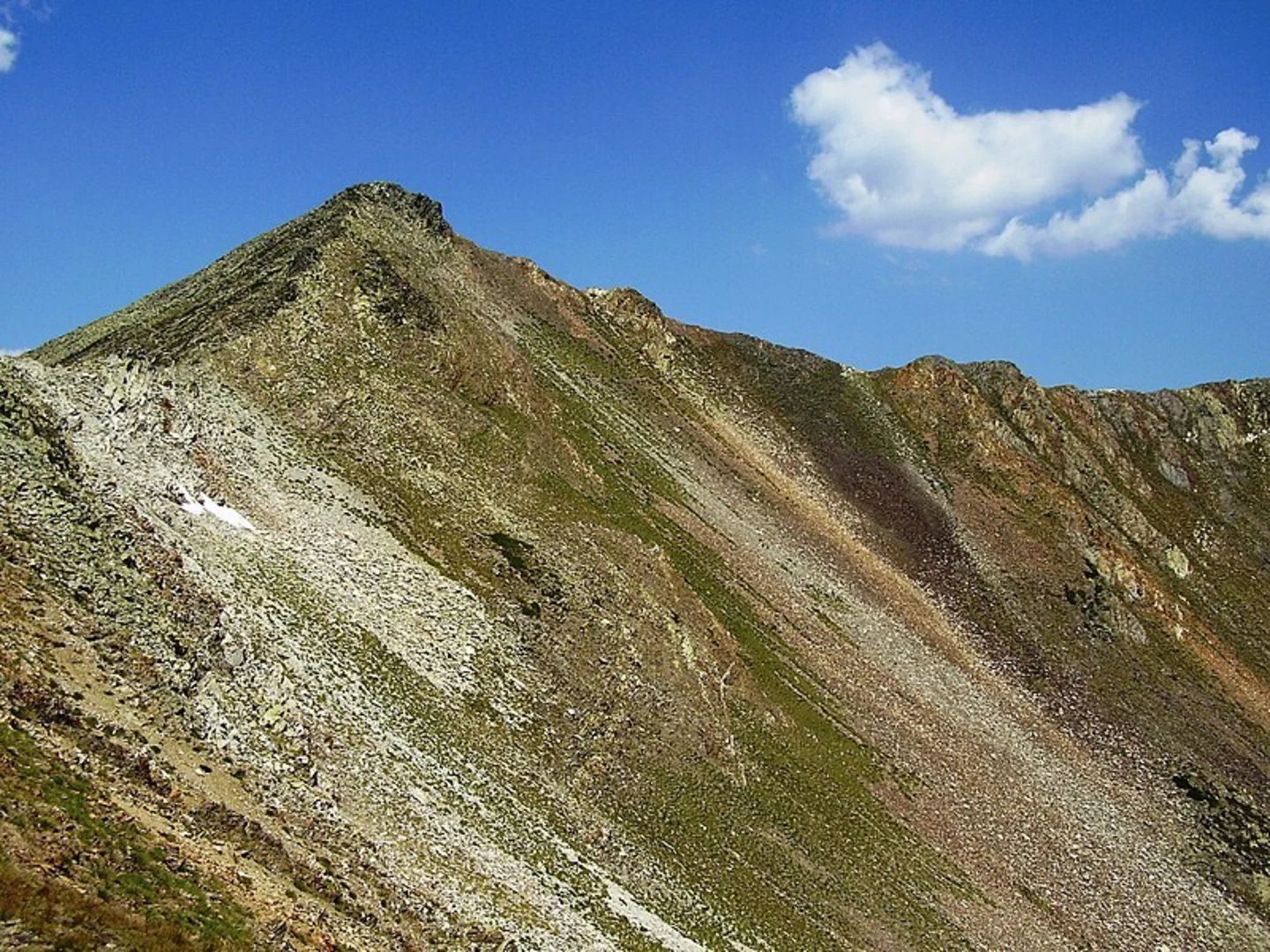 An image depicting the trail Path of the Laguna de las Lomas PR P 10 and its surrounding area.