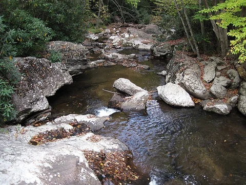 An image depicting the trail Hurricane Mountain via Virginia Highlands Trail and its surrounding area.