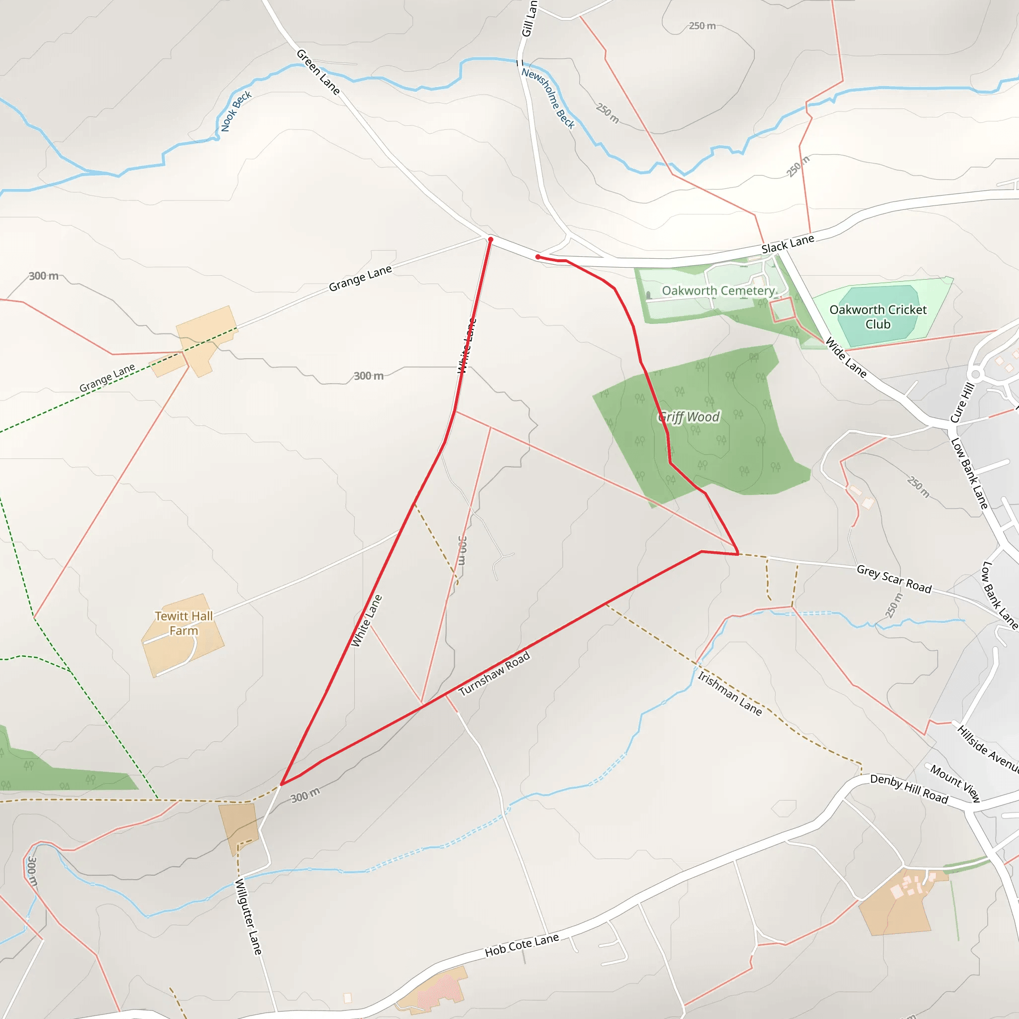 Griff Wood Loop mobile static map