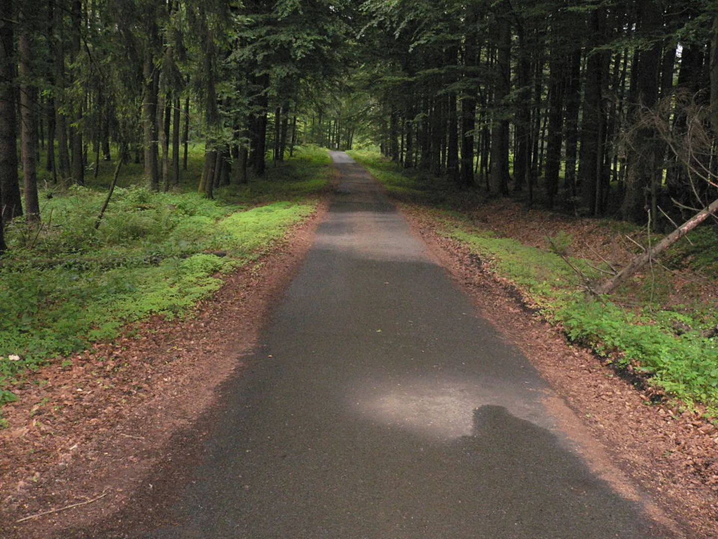 An image depicting the trail Herborner Straße Walk and its surrounding area.