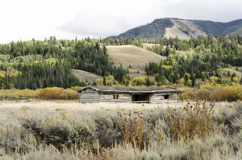 An image depicting the trail Cunningham Cabin Trail and its surrounding area.