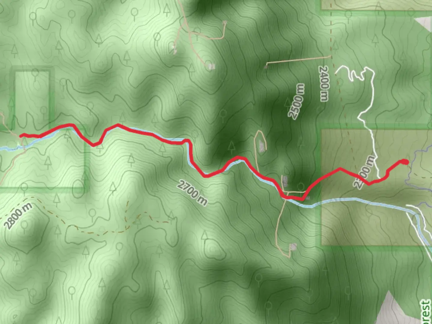 An image depicting the trail Stanley Canyon Trail from Pine Drive and its surrounding area.