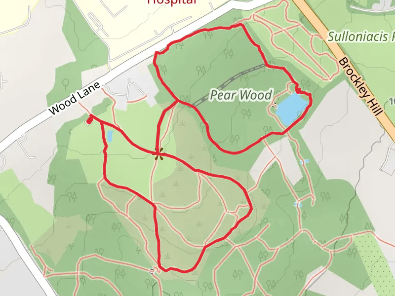 Pear Wood Loop