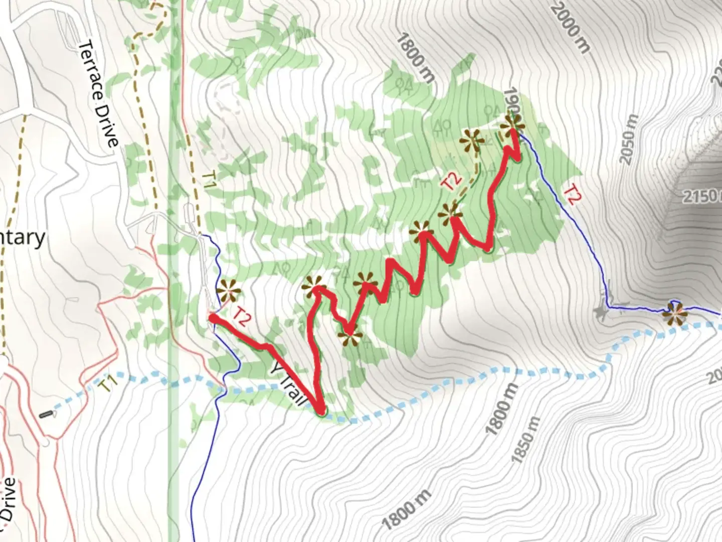 An image depicting the trail Y Trail and its surrounding area.