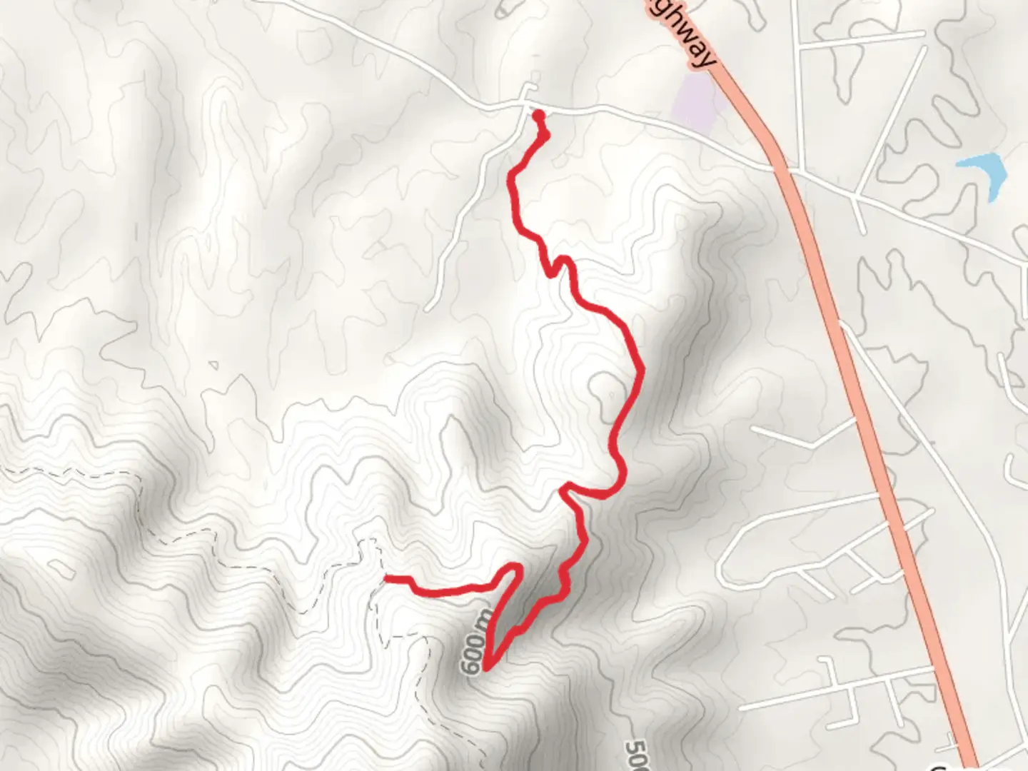 An image depicting the trail Lone Mountain State Forest Walk and its surrounding area.