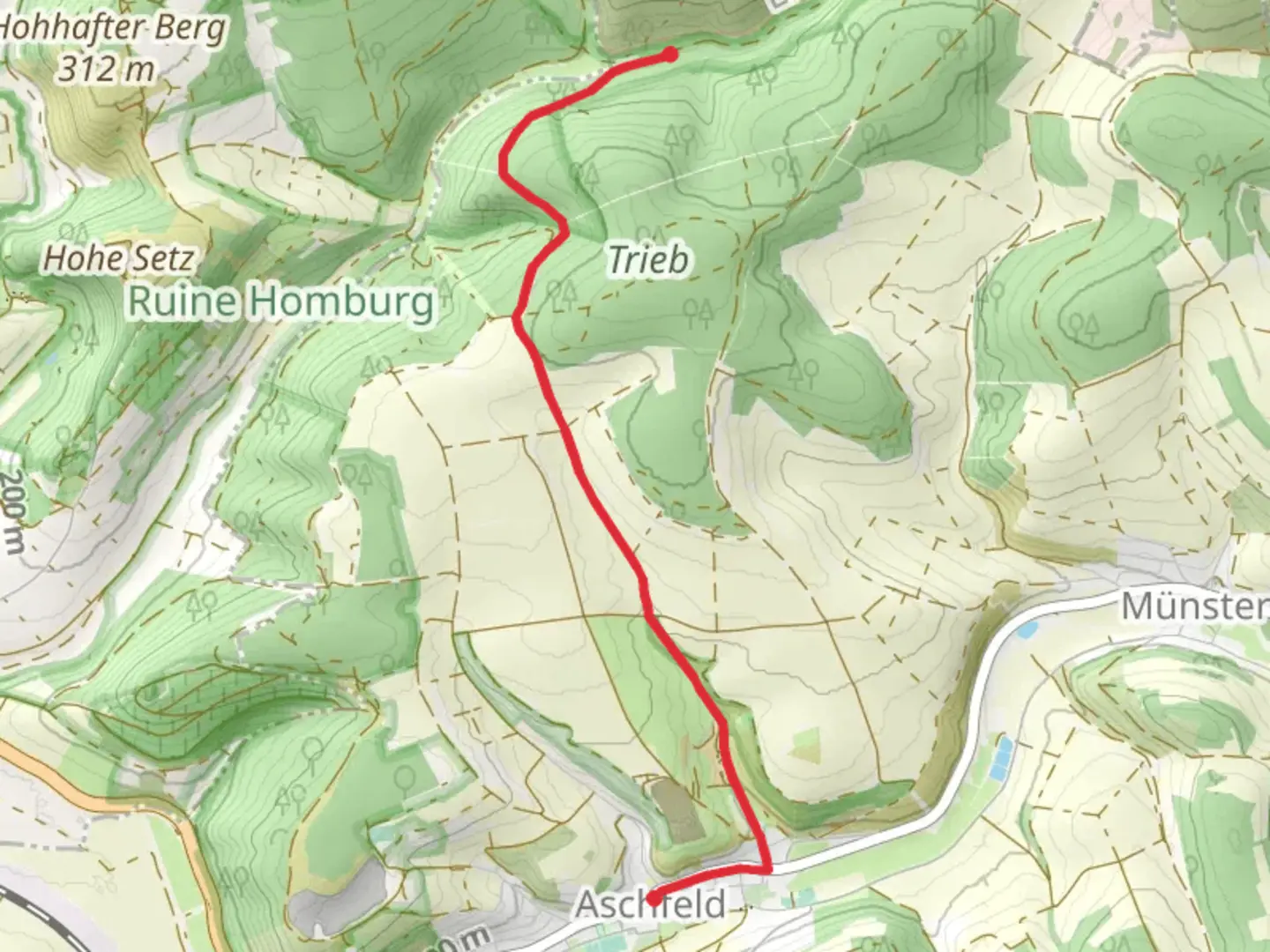 An image depicting the trail Aschfeld to Ölgrund Walk and its surrounding area.