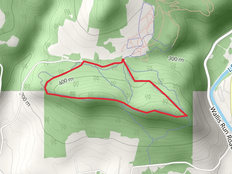 Caleb Creek Road Loop - South Ridge