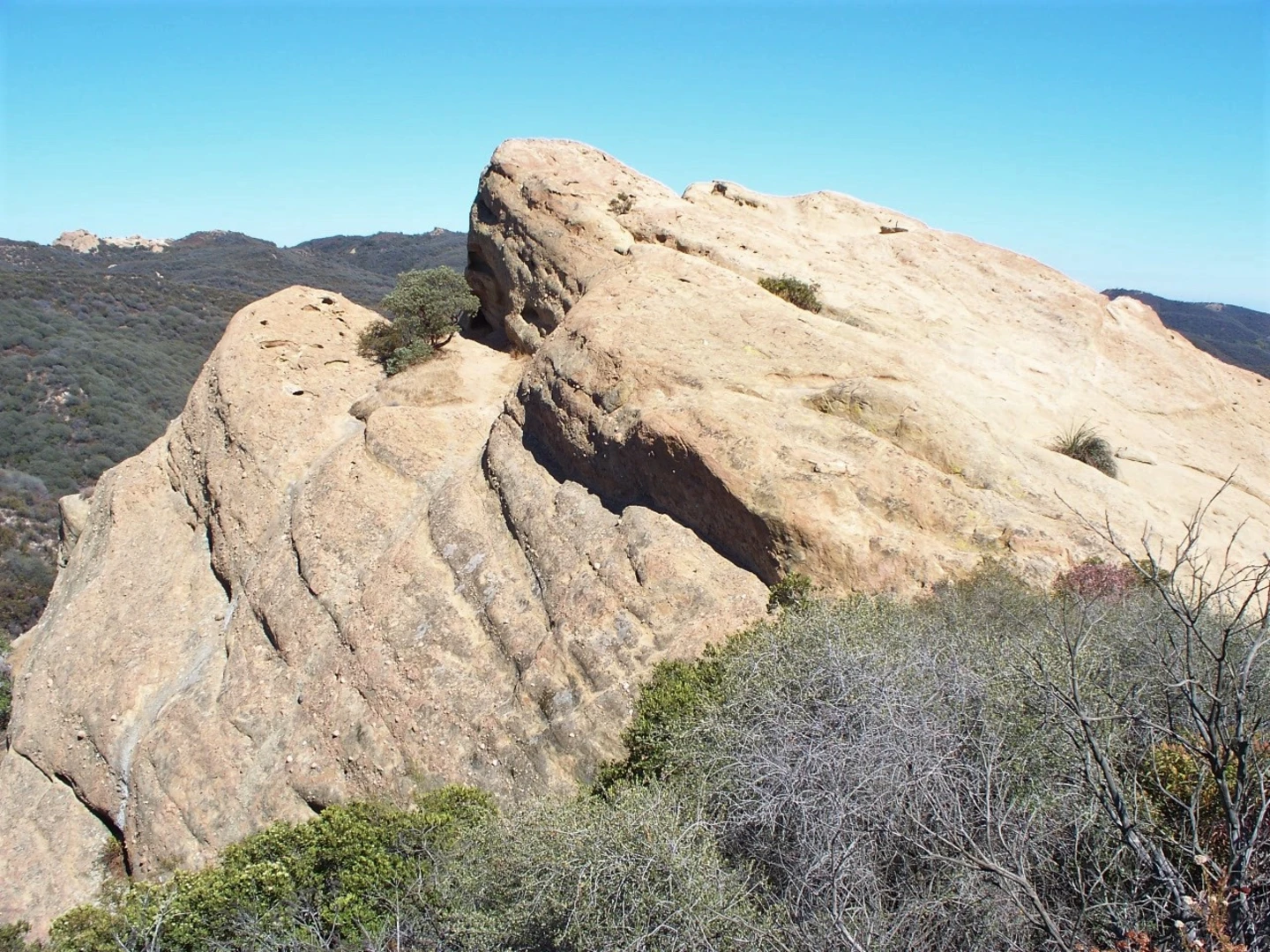 An image depicting the trail Eagle Springs Fire Road-Mulholland Drive-Backbone Trail and Musch Trail Loop and its surrounding area.