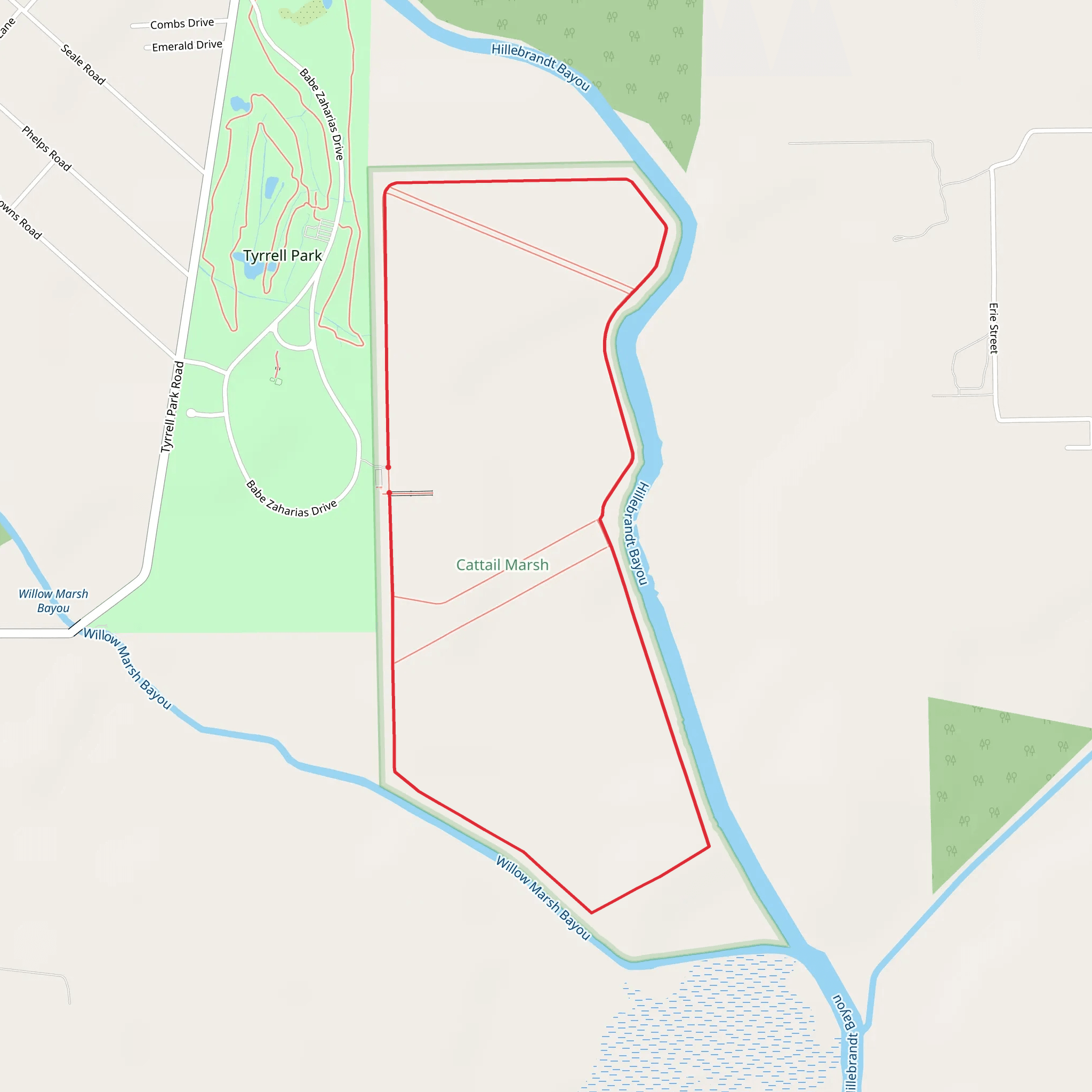 Tyrrell Park Loop Hike mobile static map