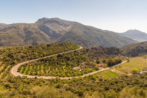 Ruta de la Cañada Real