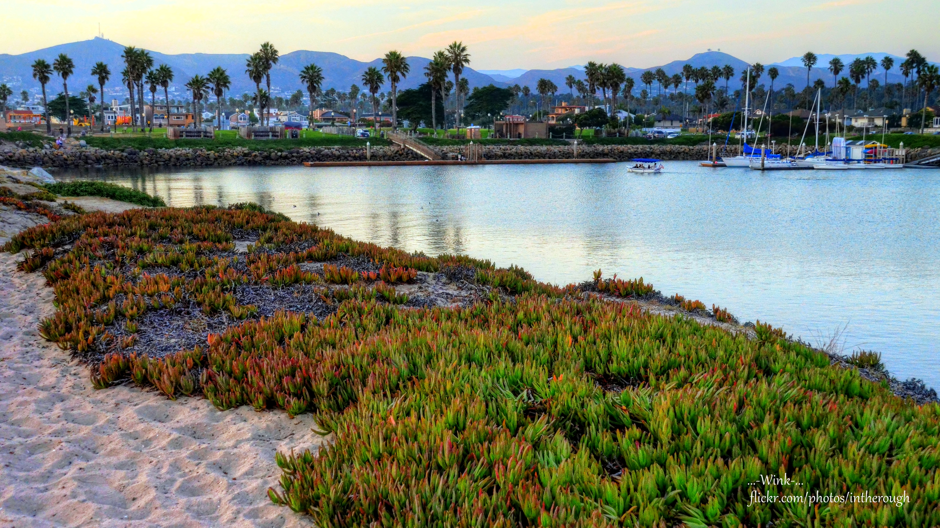 An image depicting the trail Marina Park and its surrounding area.