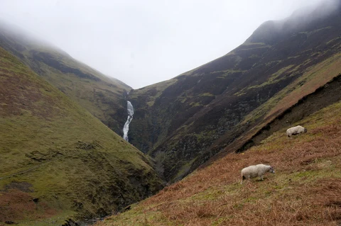 An image depicting the trail Hungry Hill and Coomarkane Lake Loop and its surrounding area.