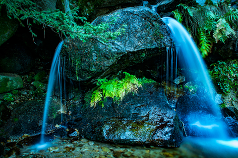 Puerto de la Fuenfria Pass