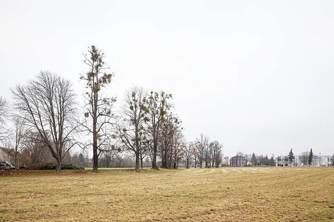 Raumuenzach-Sand via Schwarzenbach - Talsperre