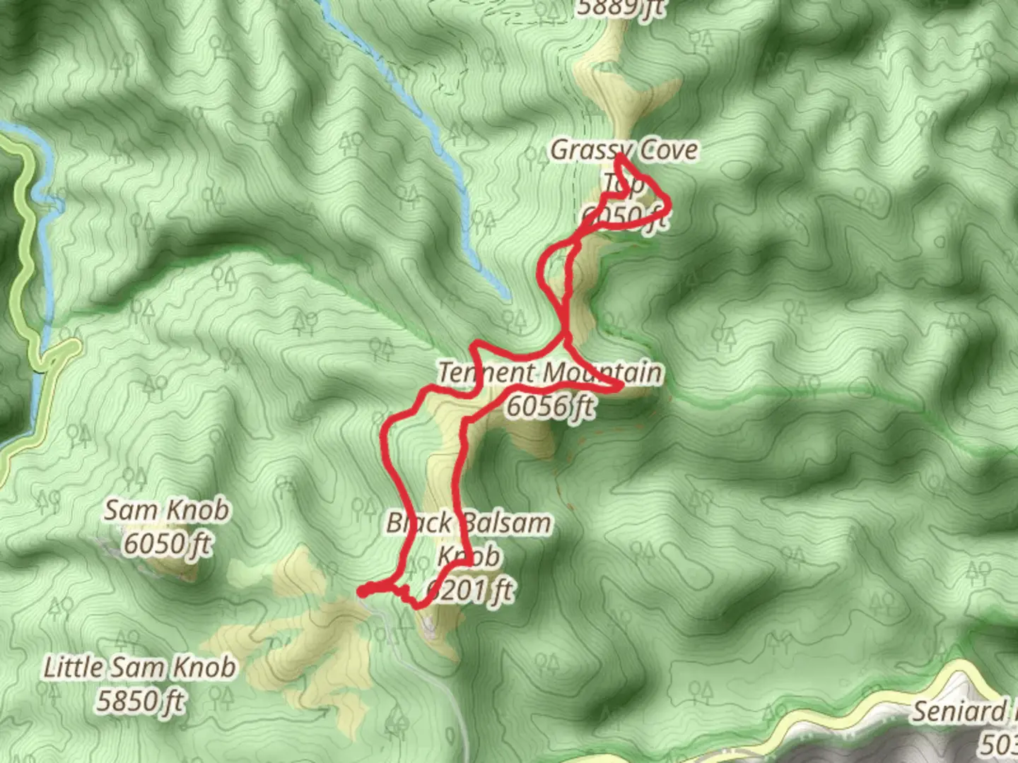 An image depicting the trail Tennent Mountain and Grassy Cove Top via Ivestor Gap and Black Balsam Summit Loop Trail and its surrounding area.