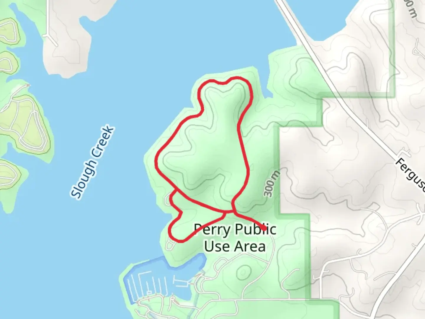 An image depicting the trail Dragonfly Meadows Loop and its surrounding area.