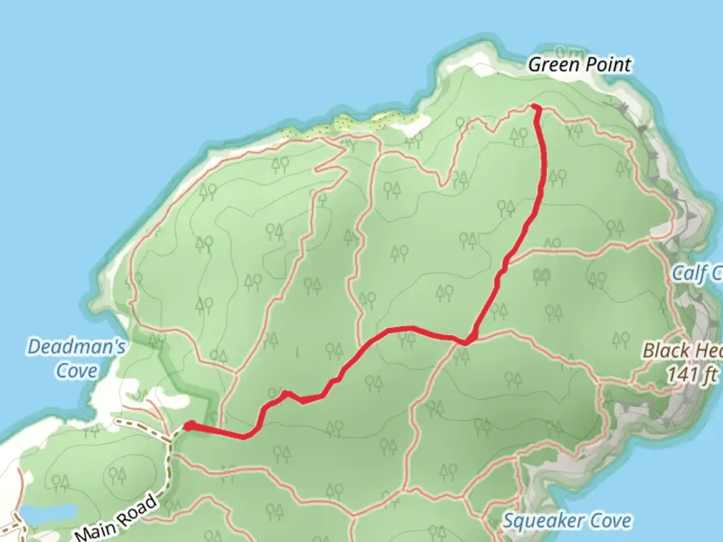 An image depicting the trail Fern Glen Trail and its surrounding area.