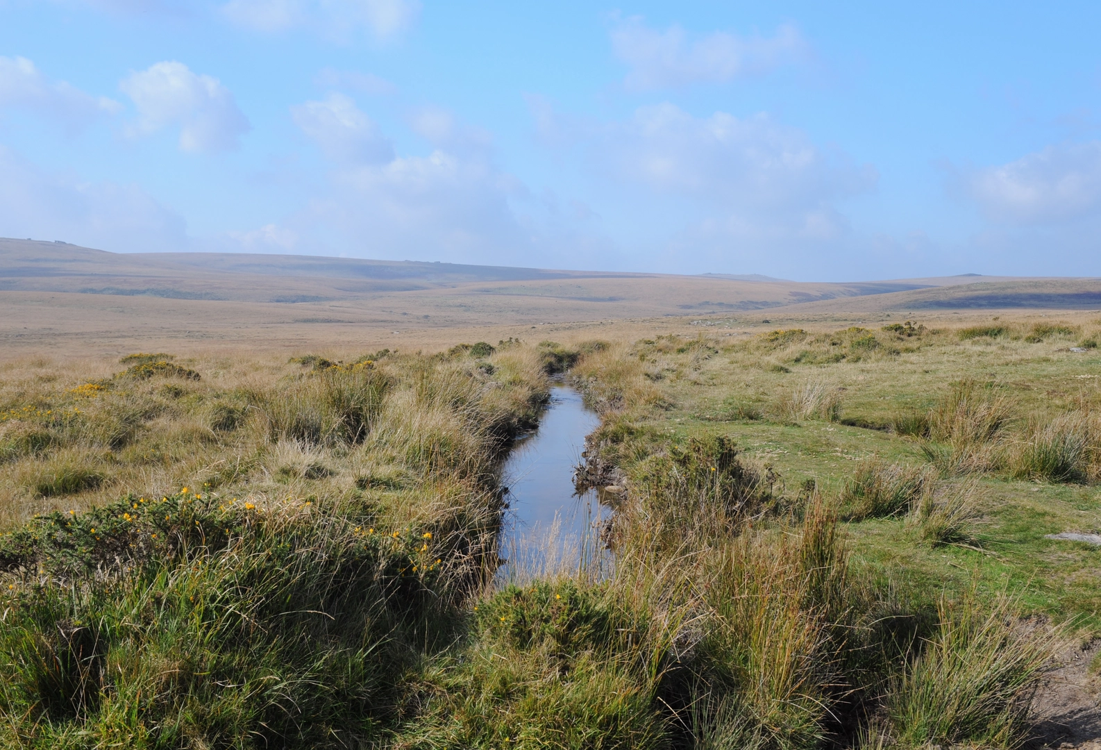An image depicting the trail Walk along River Teign and its surrounding area.