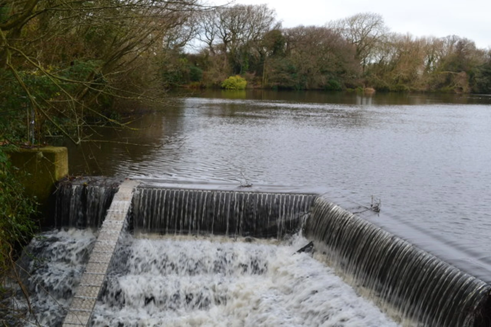 An image depicting the trail Bellfield Loop and its surrounding area.