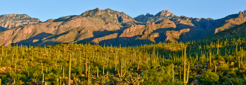 An image depicting the trail WS Lake Trail via W S Mountain Trail and its surrounding area.