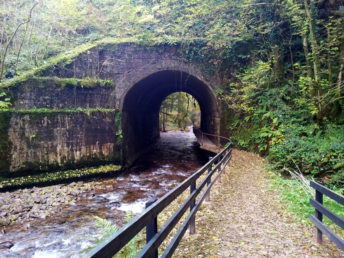 An image depicting the trail Glenshelane - Green Trail and its surrounding area.