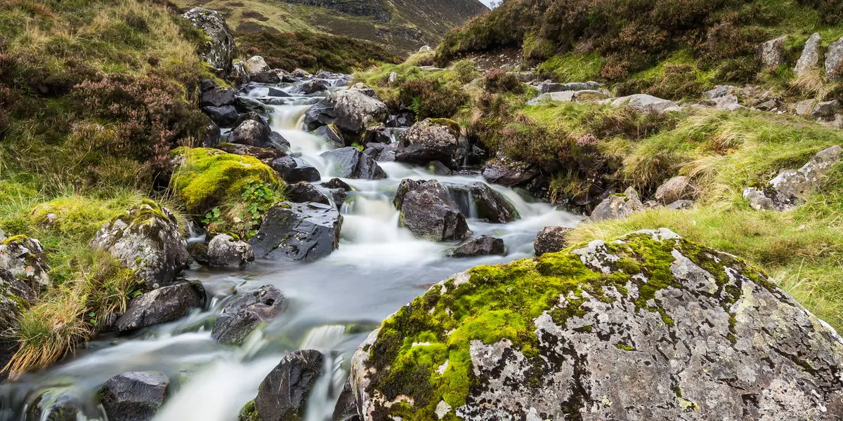 Grey Mare's Tail