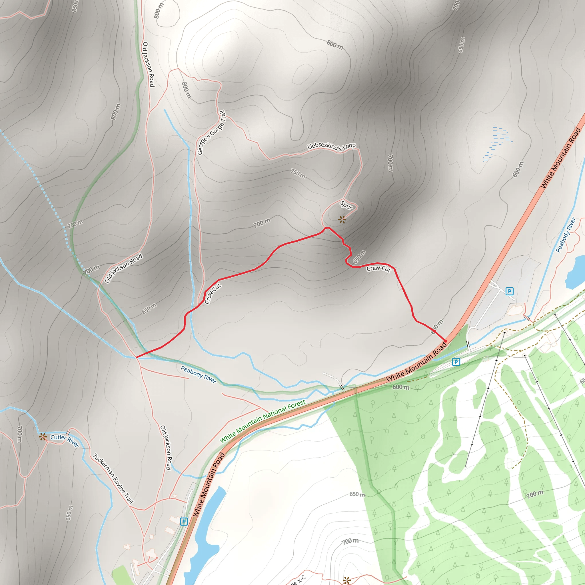 Crew - Cut Trail mobile static map