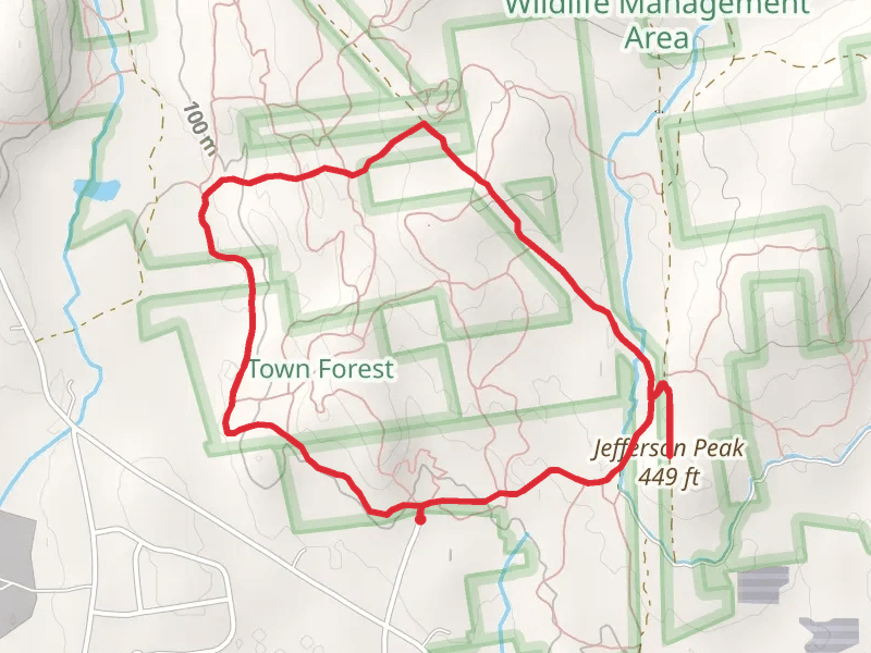 Town Forest Loop