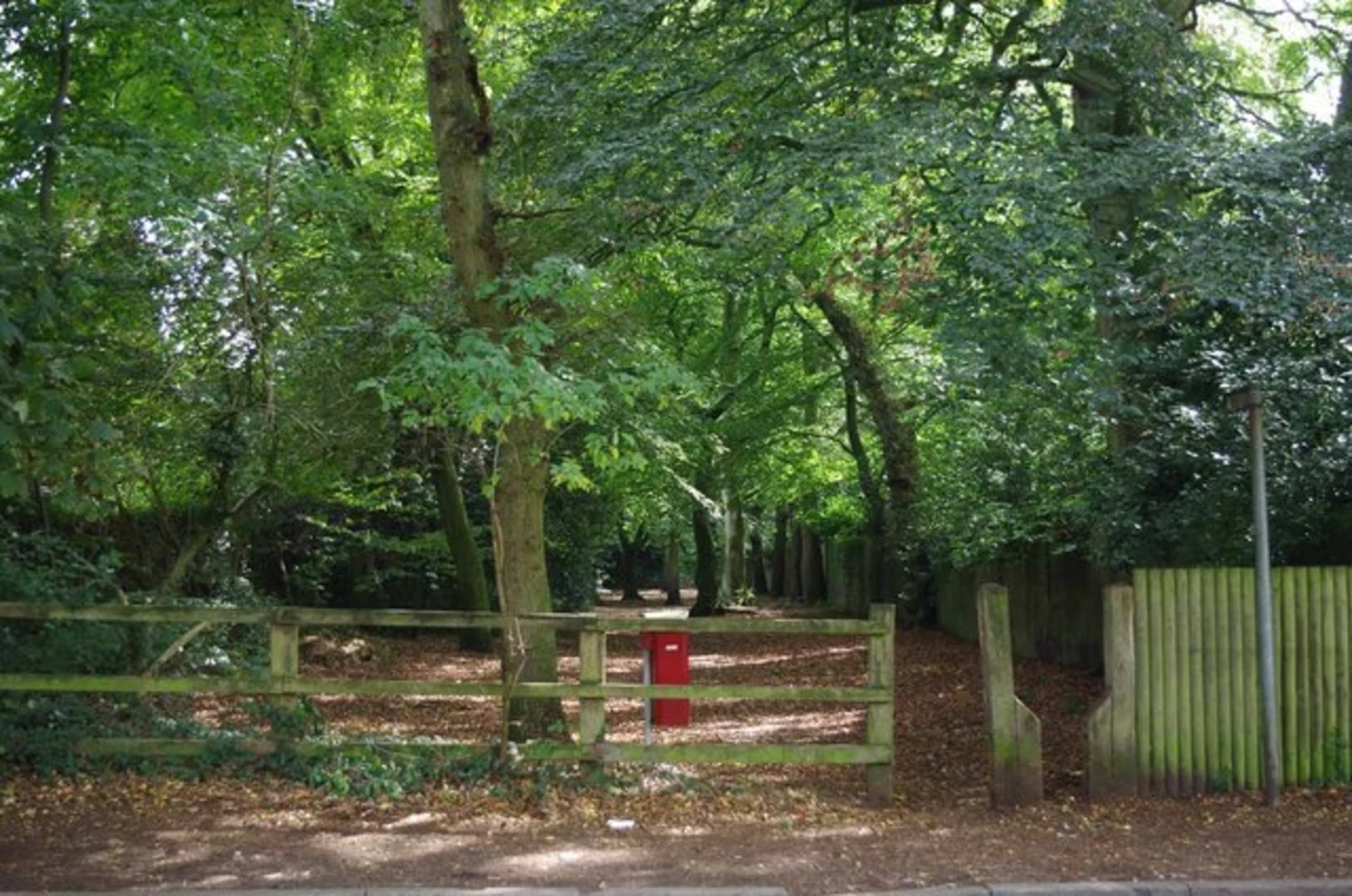 An image depicting the trail Windmill Wood and its surrounding area.