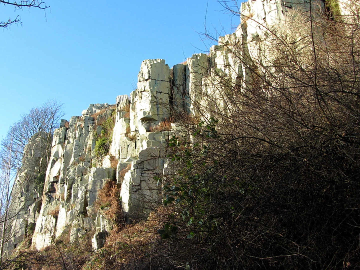 An image depicting the trail Lindisfarne Causeway to Islestone via Shiellow Wood, Virgin Hill and Bowl Hole and its surrounding area.