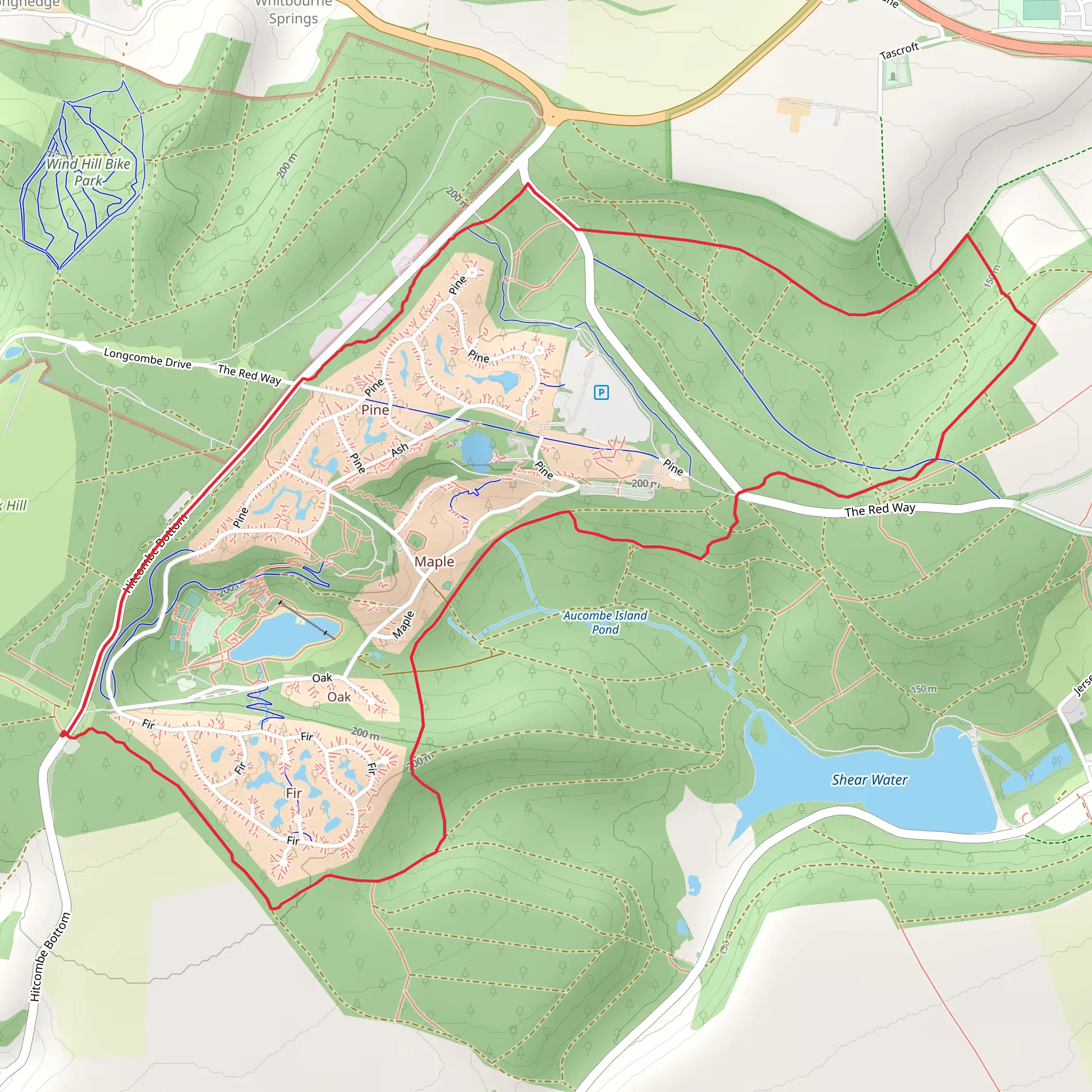 Longleaf Forest and Botany Hanging mobile static map