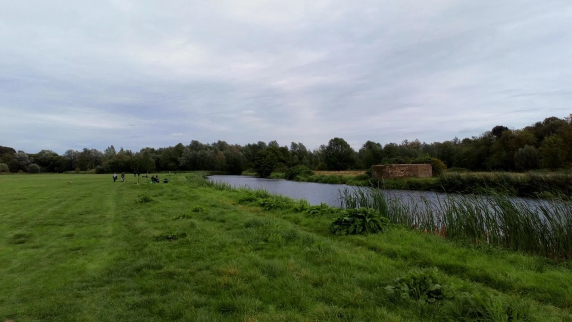 An image depicting the trail Sudbury Water Meadows Loop and its surrounding area.