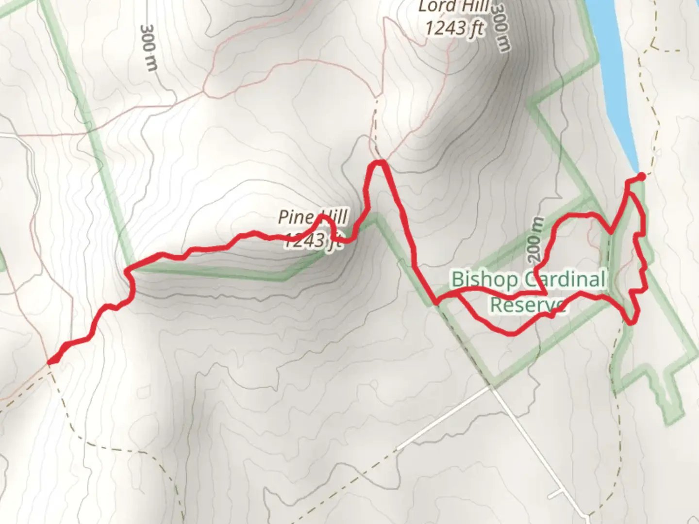 An image depicting the trail Pine Hill Loop and its surrounding area.
