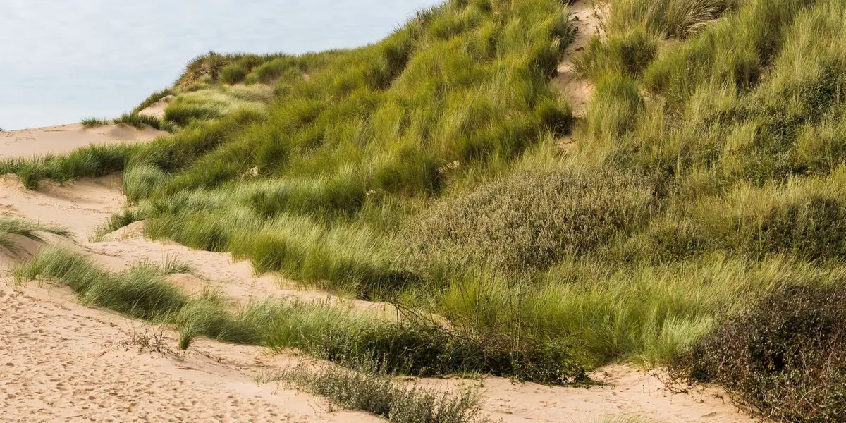 Formby - Sefton Coastal Footpath and Formby Point