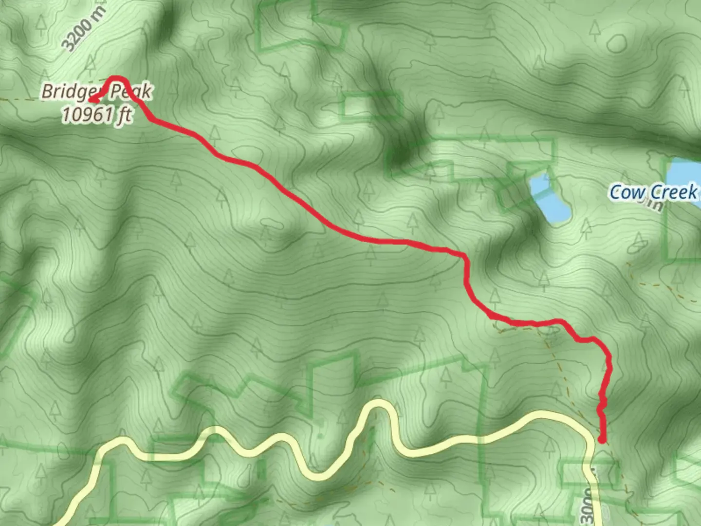 An image depicting the trail Bridger Peak via CDT and its surrounding area.