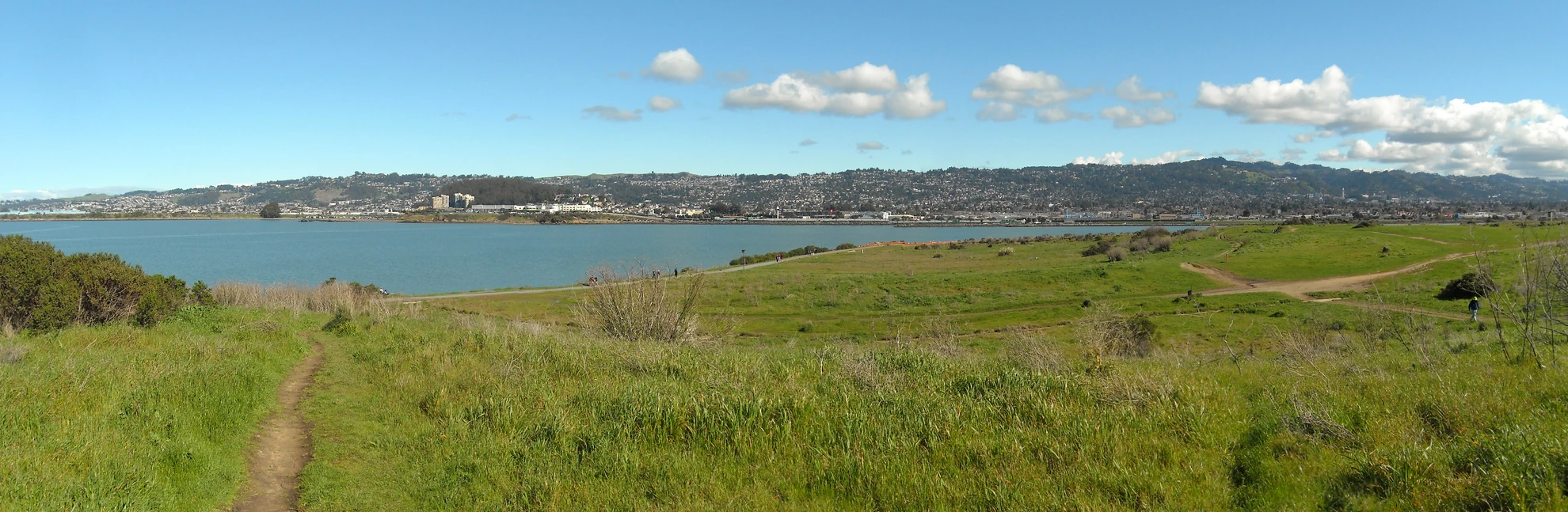 An image depicting the trail Dorothy Stegmann Loop Trail and its surrounding area.