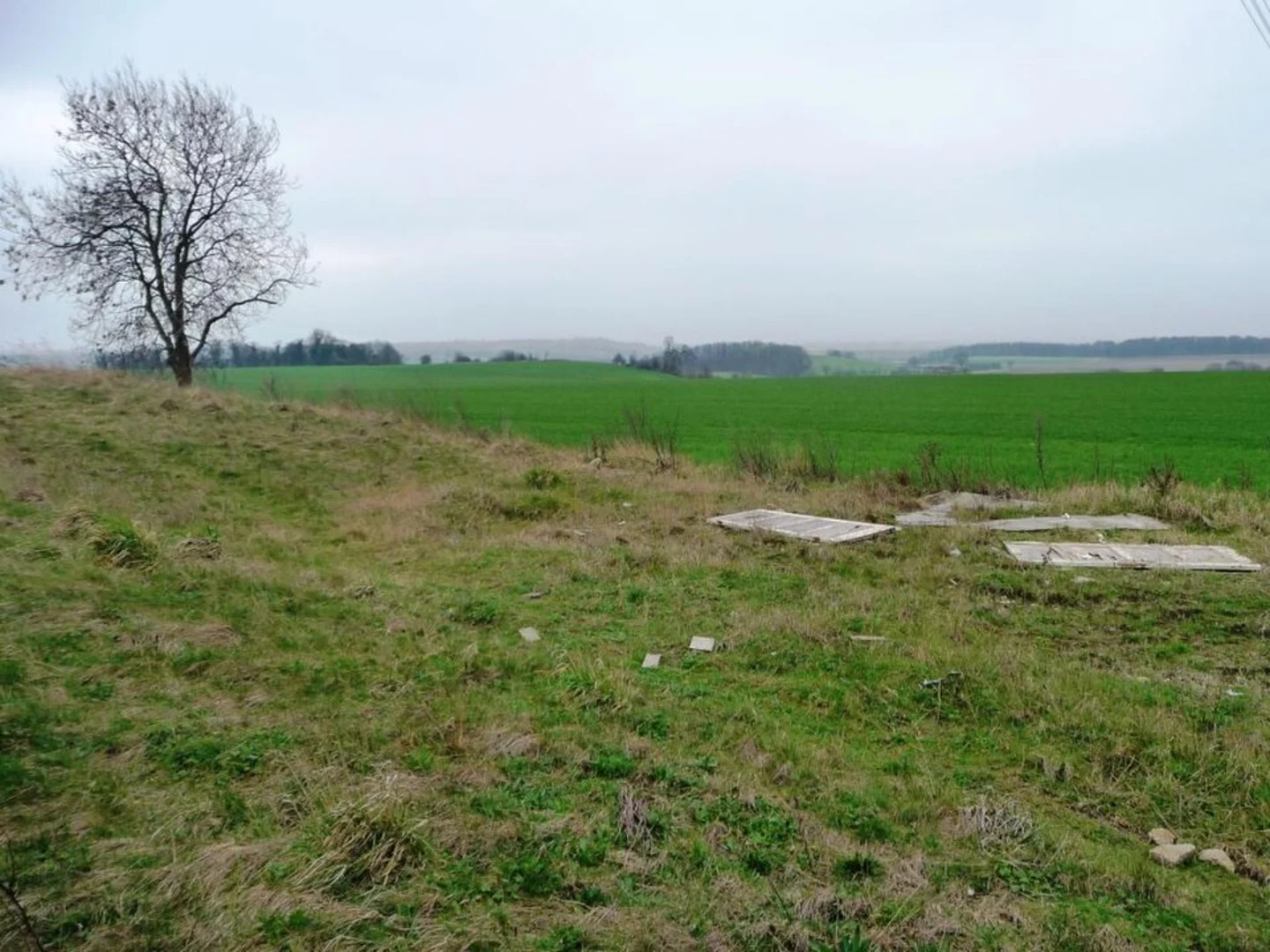 An image depicting the trail Village Bay Viewpoint and Fairburn Ings in Ledsham Country Park and its surrounding area.