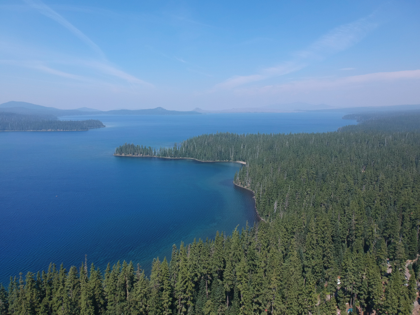 An image depicting the trail Moore Creek via Bobby Lake Trail and its surrounding area.