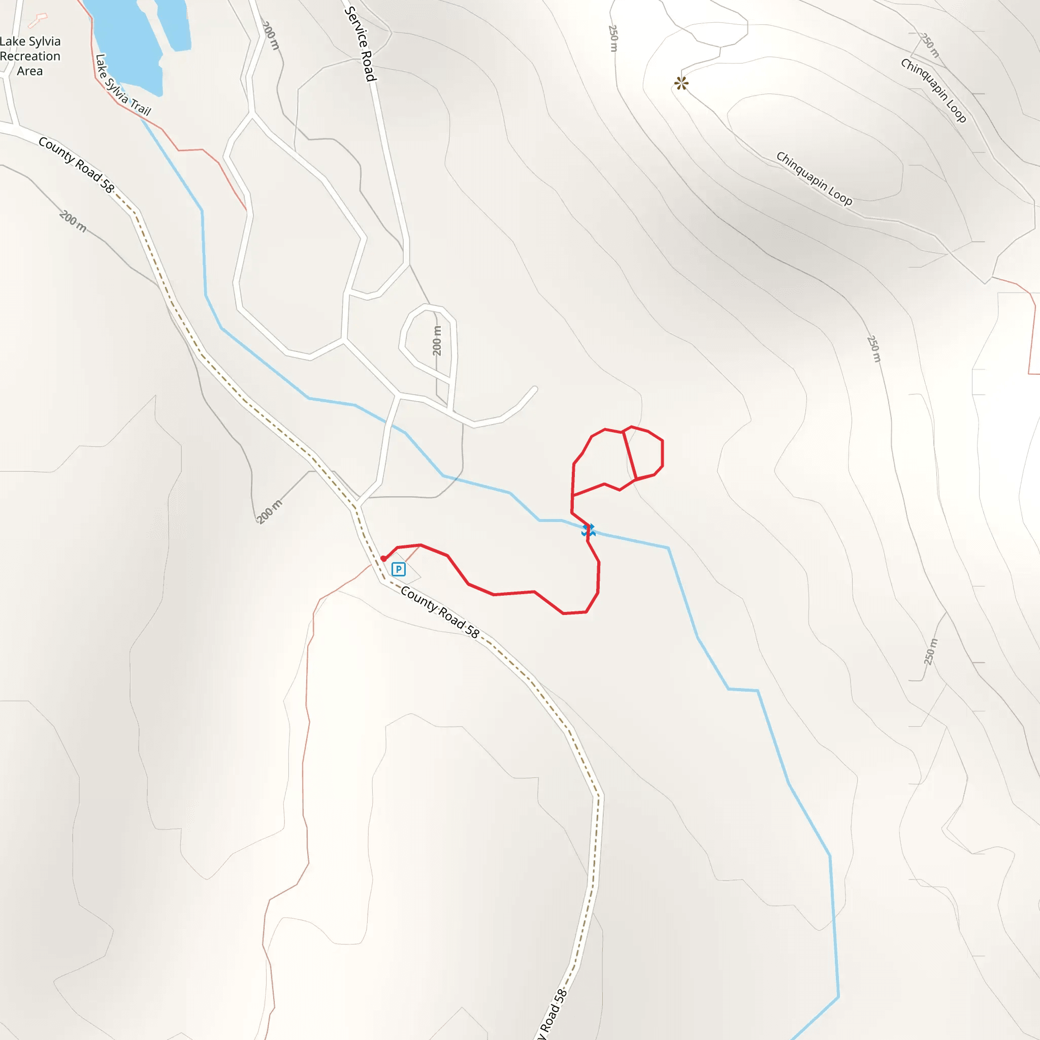 Trees of the Forest Interpretive Trail mobile static map