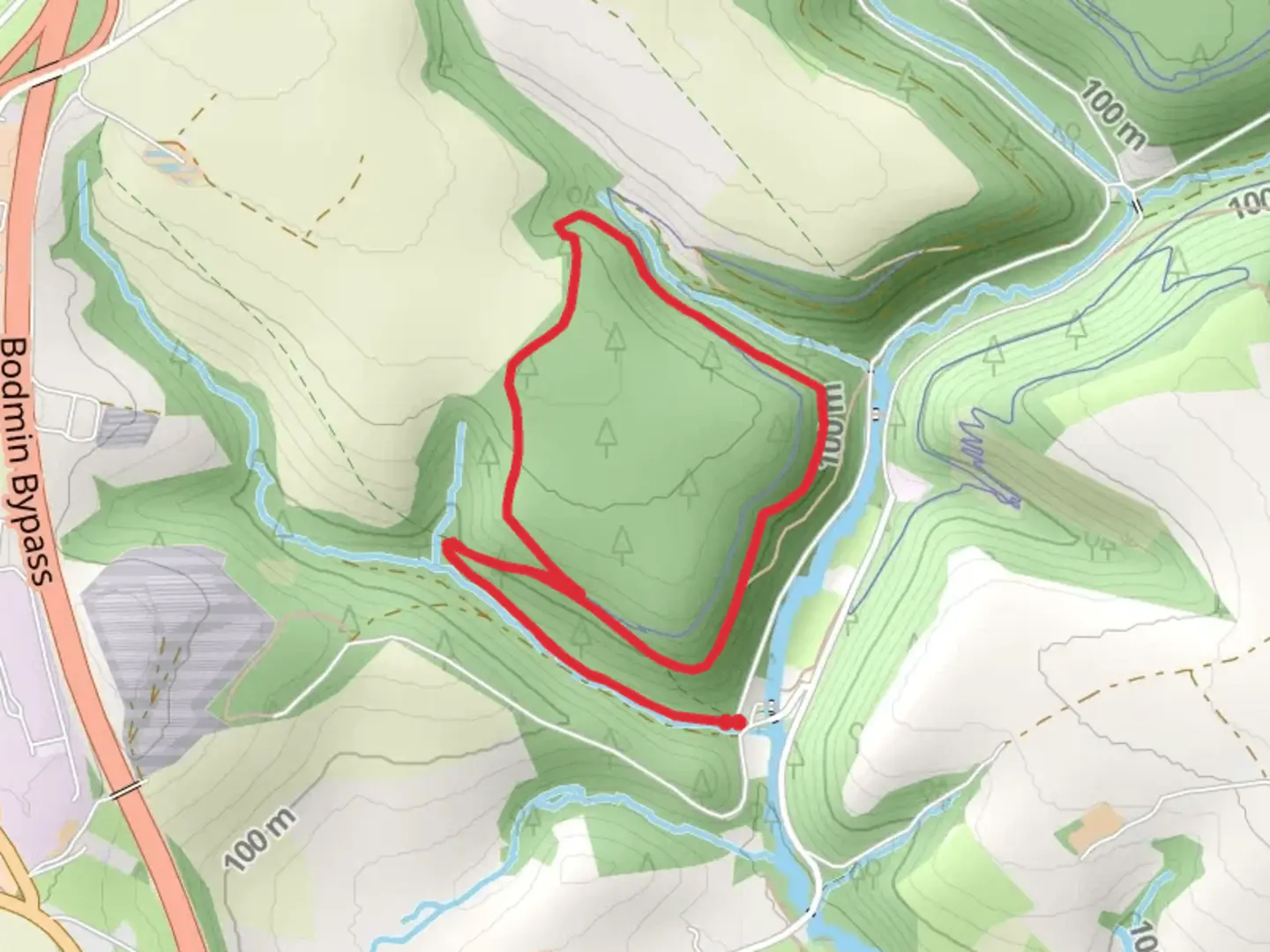 An image depicting the trail Callywith Wood Loop and its surrounding area.