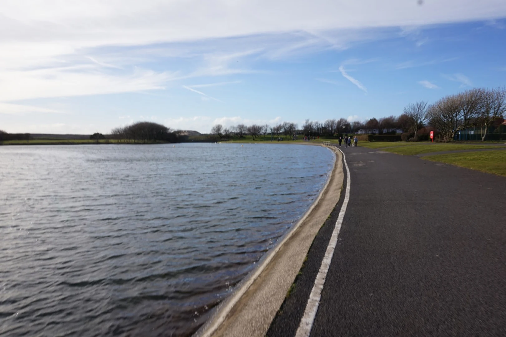 An image depicting the trail Fairhaven Lake Loop and its surrounding area.