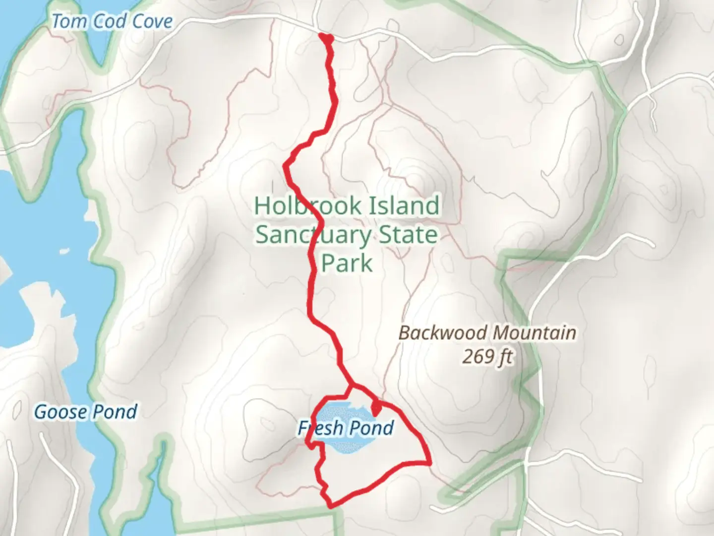An image depicting the trail Holbrook Island Sanctuary State Park and its surrounding area.