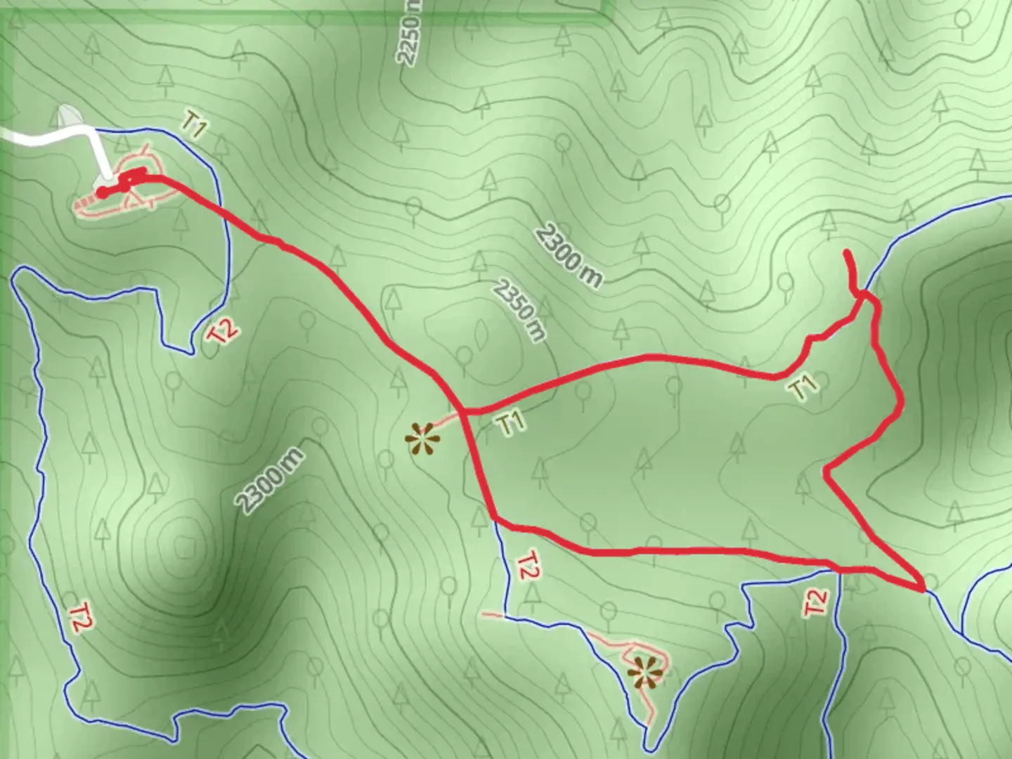 An image depicting the trail Meadow Trail, Castle Trail and ADT Loop and its surrounding area.