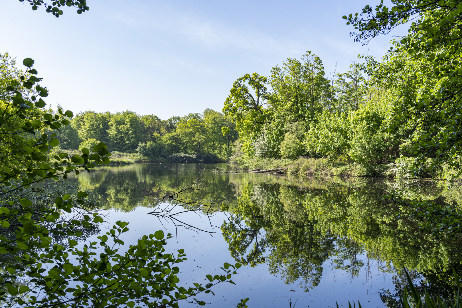 An image depicting the trail Meijenhof and Meijendel Loop and its surrounding area.