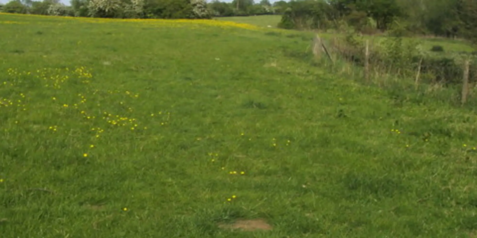 An image depicting the trail Great Horwood from Adstock and its surrounding area.
