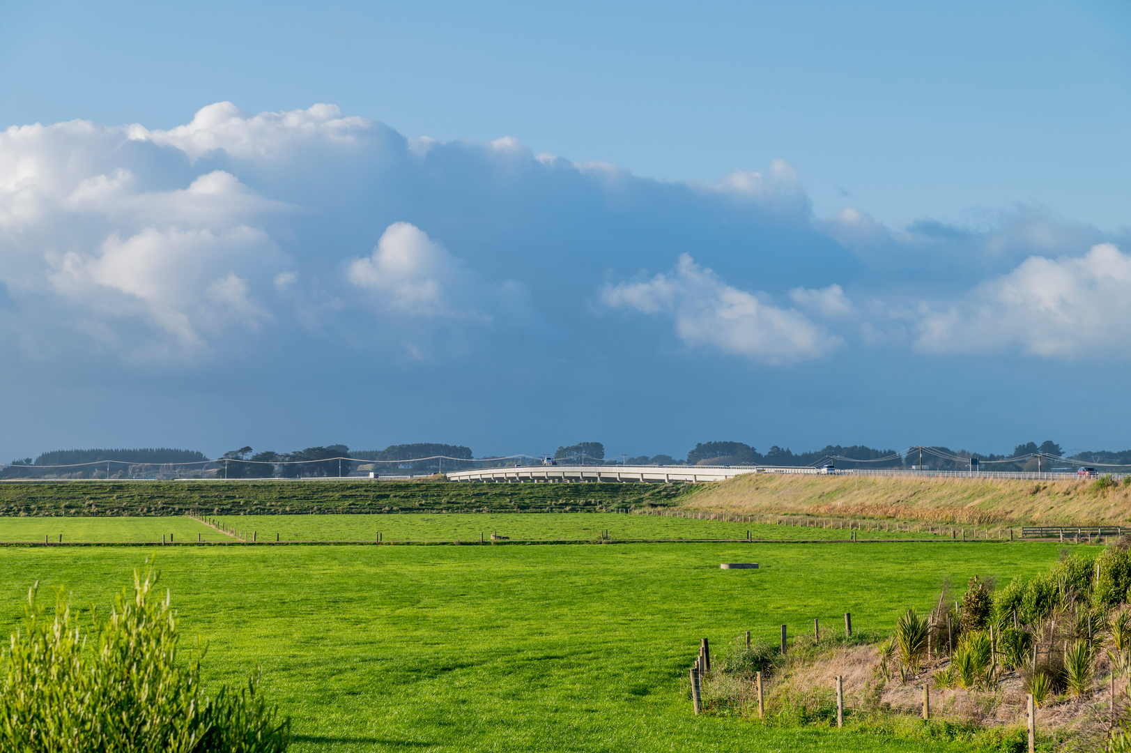 An image depicting the trail Foxton Manawatu River Walk and its surrounding area.
