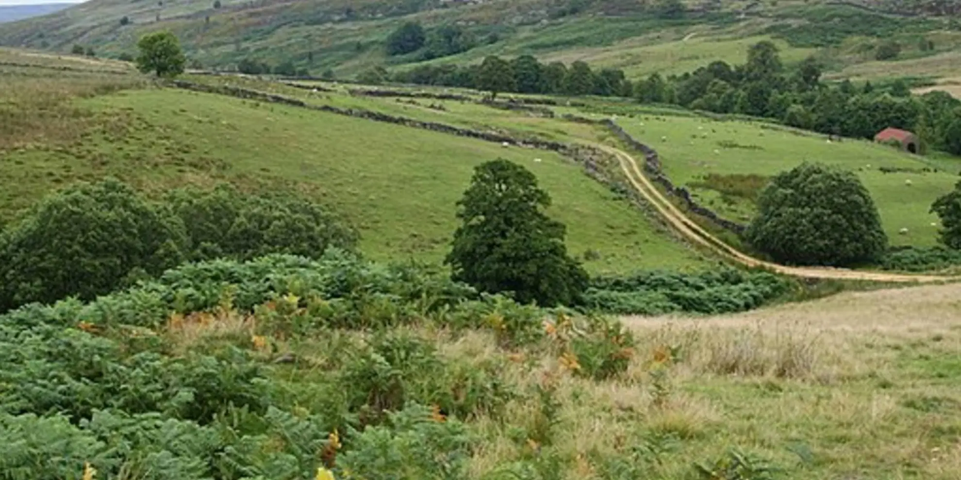 An image depicting the trail Esklets and Rosedale Head from Westerdale and its surrounding area.